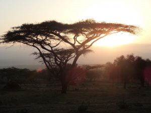 Beseda Afrika v románech H.H